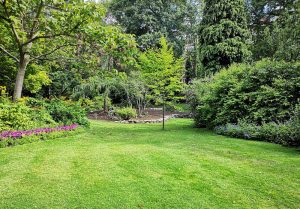 Optimiser l'expérience du jardin à Villefranche-du-Perigord